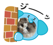 842305666