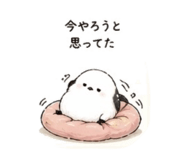 842306043