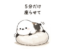 842306048