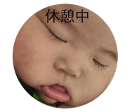 842306086