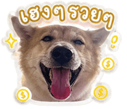 842306433