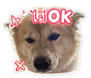 842306440