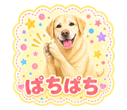 842306527