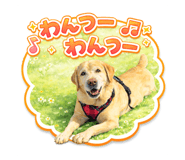 842306546