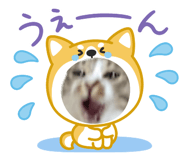 842306997
