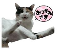 842307000