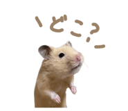 842307039