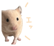 842307043