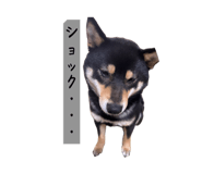 842307837