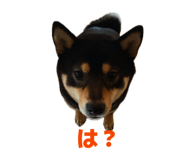 842307839