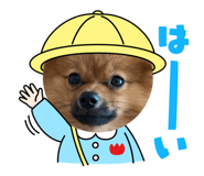 842307930