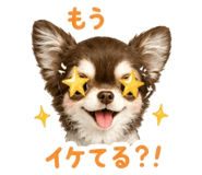 842308080