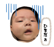 842308094