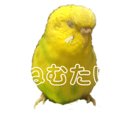 842308097