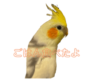 842308098
