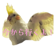 842308100