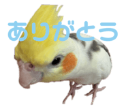 842308101