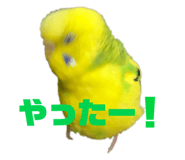 842308102
