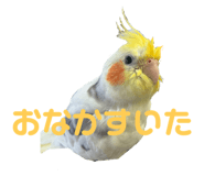 842308103