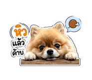 842309825