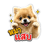 842309828