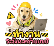 842310087