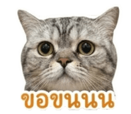 842310144