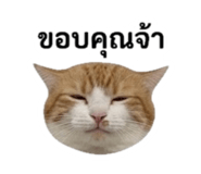 842310892