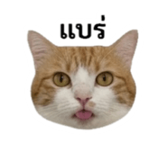 842310897