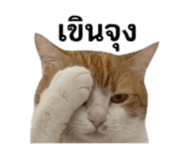 842310899