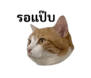 842310908