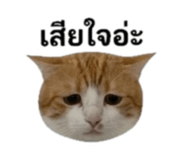 842310909