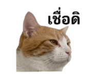 842310911