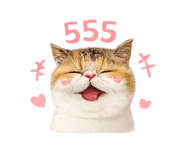 842311491