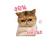 842311494