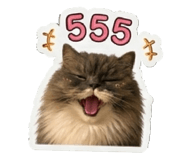 842311562