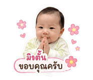 842311588