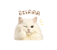 842312118