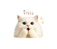 842312120