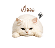 842312135