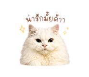 842312138