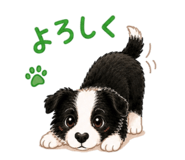 842312442