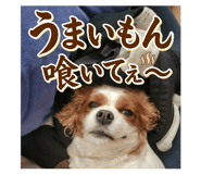 842312476