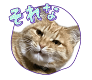 842312515