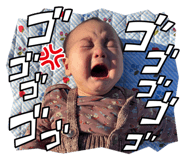 842312752