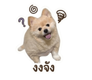 842312887