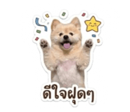 842312893