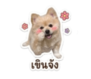 842312894