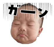 842313015