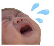 842313020